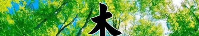 1680371395776185.jpeg frp2r34yemv32oylsia99k2ssr1k47shi58sb7xskue7rf7rhlaal5em4zxu5b1qxe3jlvnx69avn2h9.jpeg