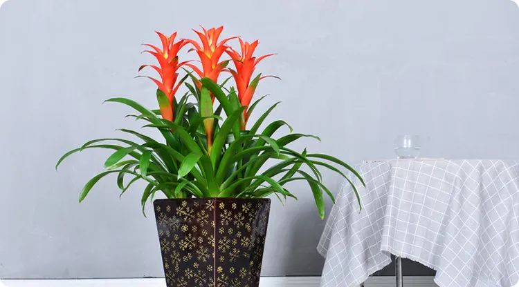 1680535230981079.jpg weixin_MTc0NjIwMDM5MTk=4.jpg
