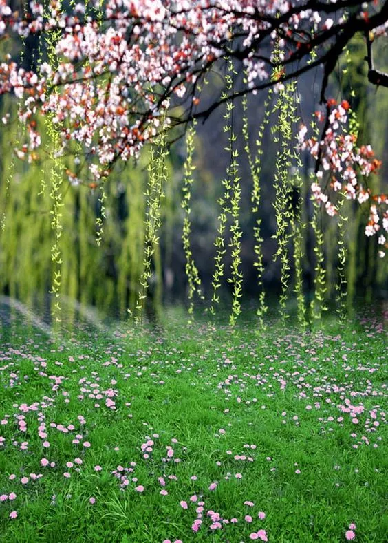 1682511356227239.png 图片19.png