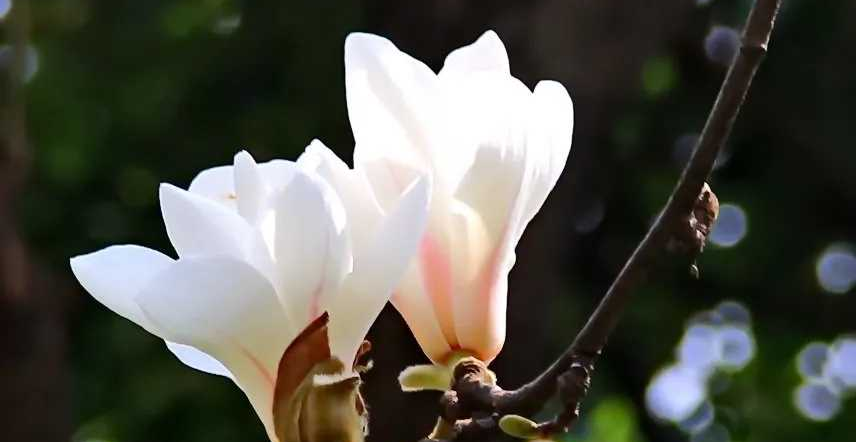 1682511383825505.png 图片20.png