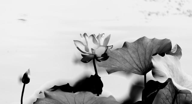 1682593643139644.png 图片12.png