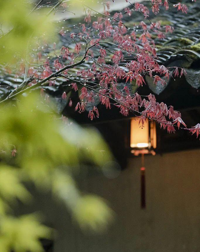 1683007800362190.png 图片24.png