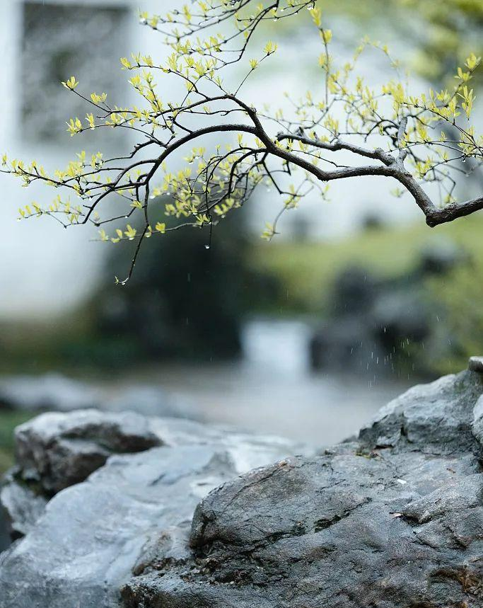 1683007834849079.png 图片22.png